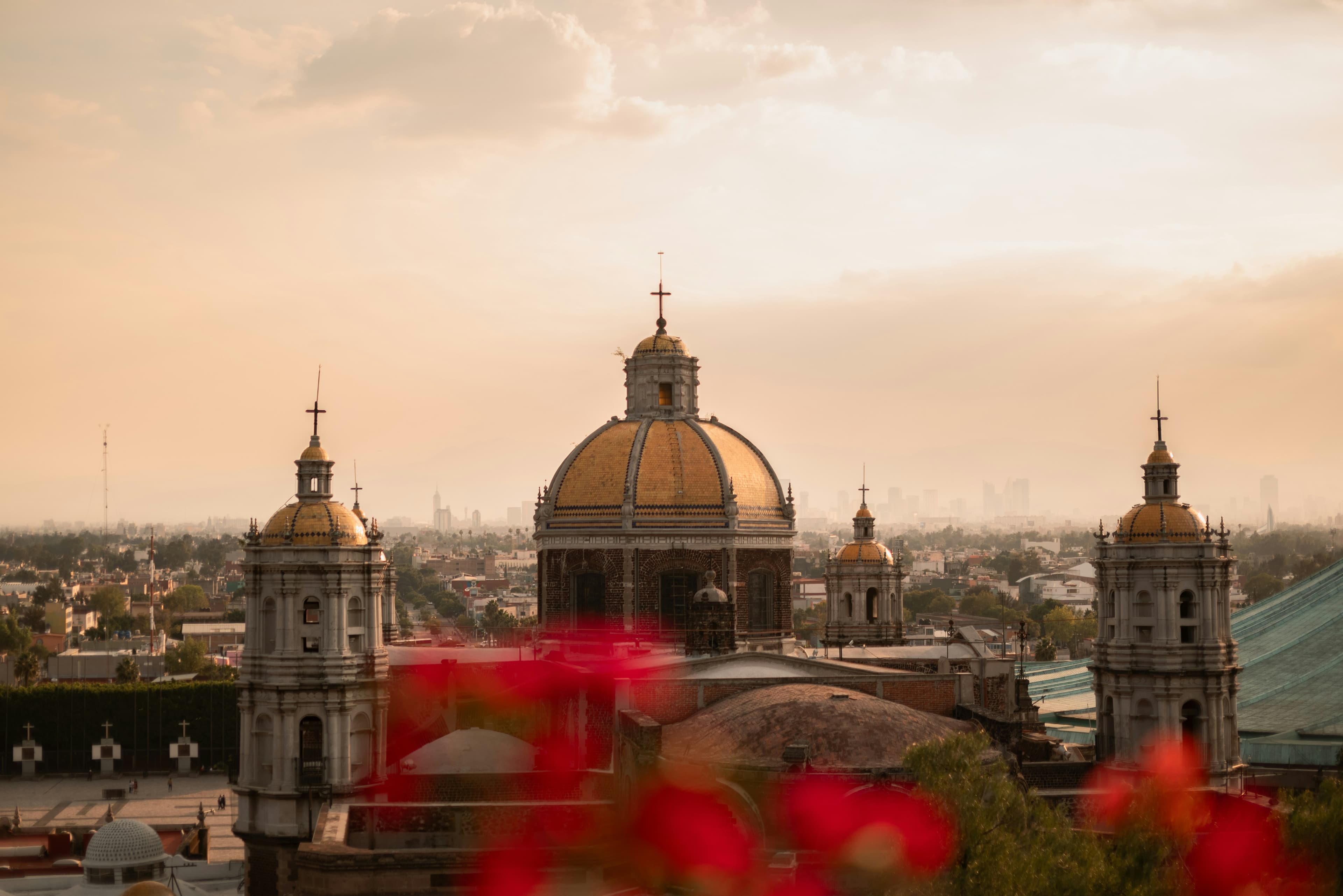 Basilica dome and bell towers at golden hour with red flowers in the foreground